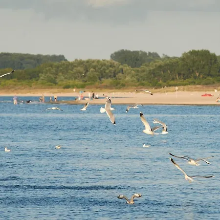 Trave Ufer Moba-travel